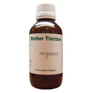 Purchase Tabernanthe Iboga Mother Tincture Online