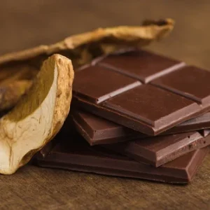 Buy Shroom Chocolates Online